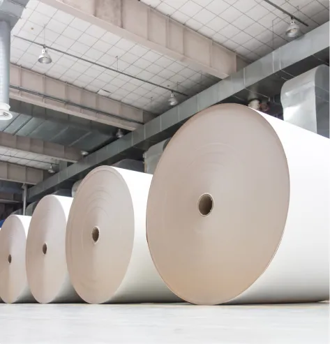 industrial-rolls-placed-warehouse